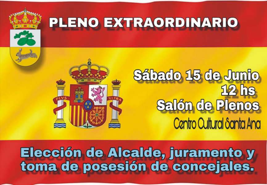 PLENO-CONTSITUCION-junio-20